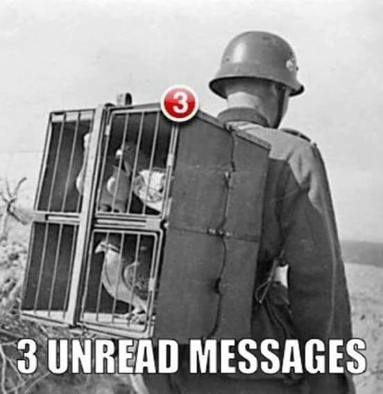 16196017_578832112322225_668829532697088888_n.jpg