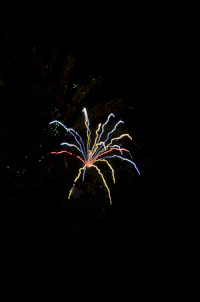 200w.gif