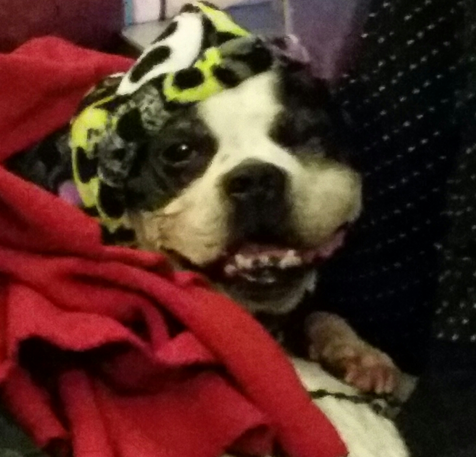 2016-12-05 07.53.10_0.jpg