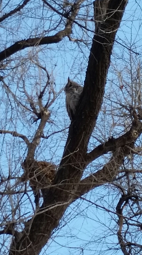 2017-01-29 18.16.03.jpg