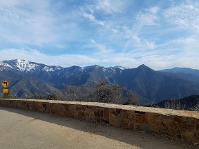 20190326_173541_resized.jpg