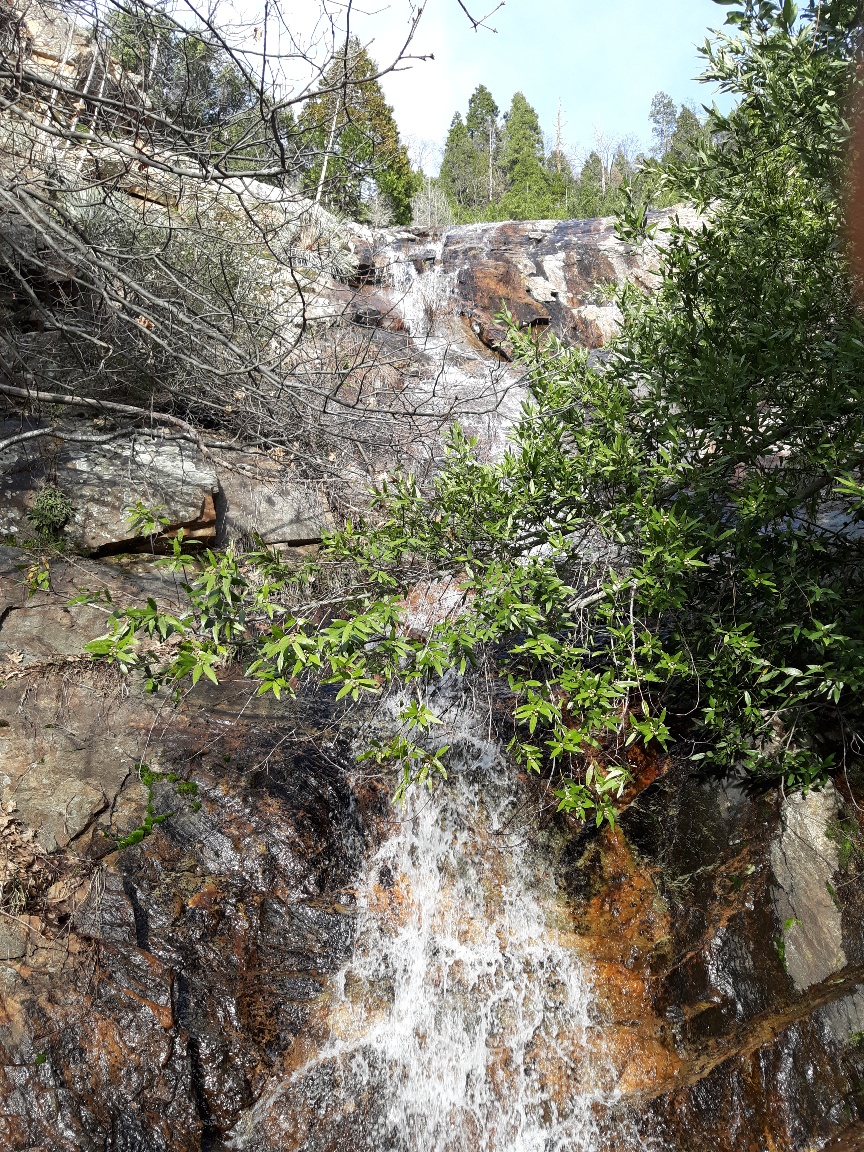 20190326_173827_resized.jpg