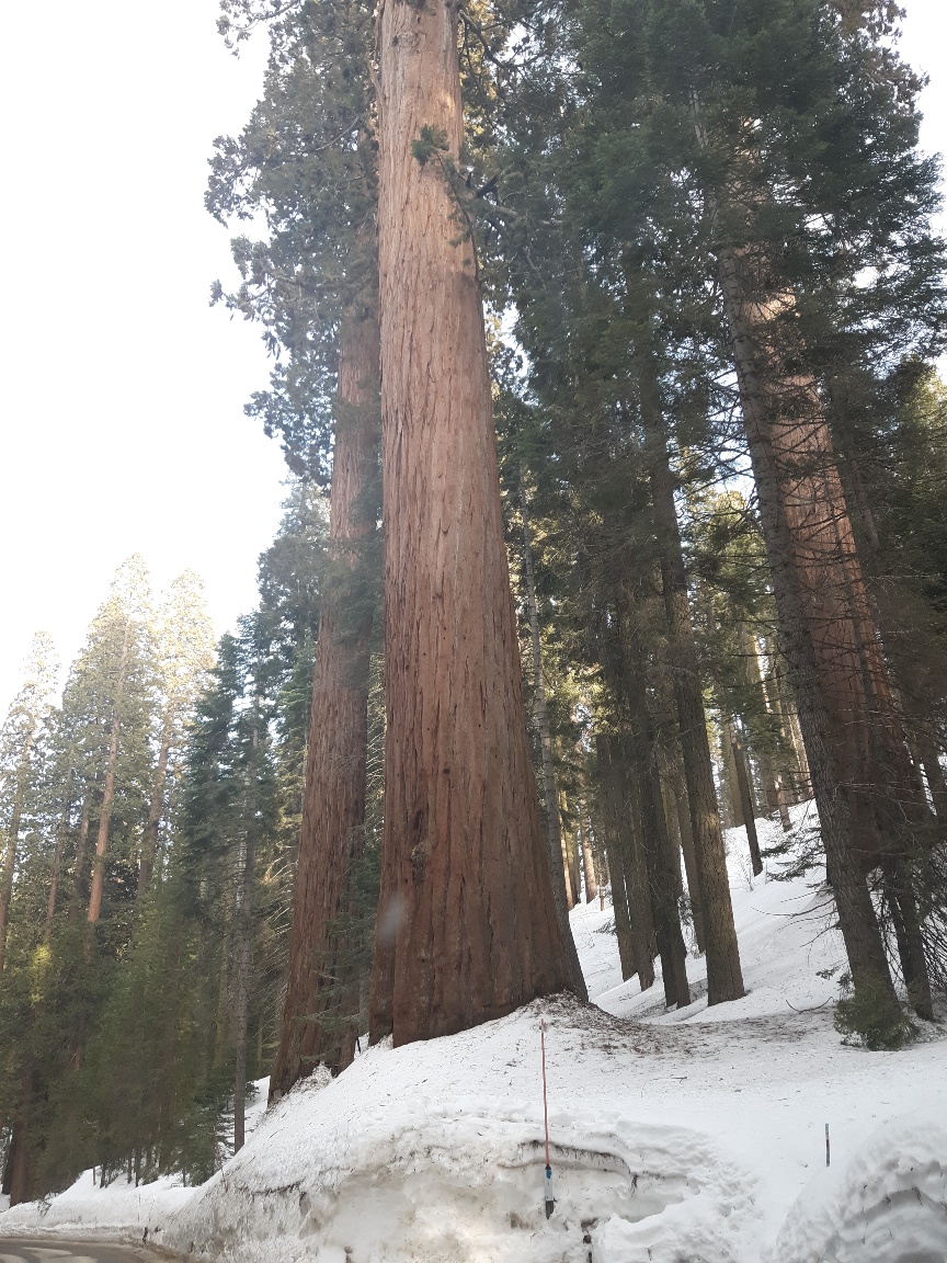 20190326_175017_resized.jpg