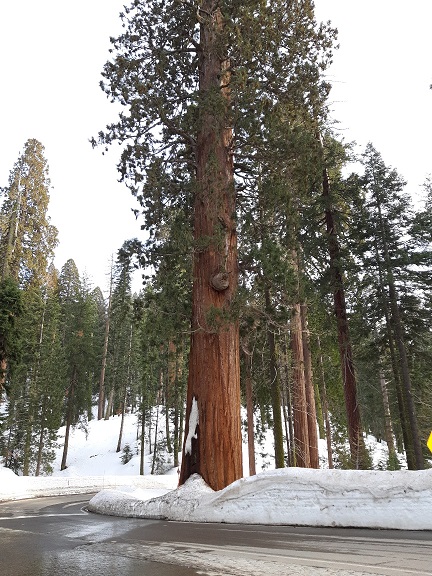 20190326_180805_resized.jpg