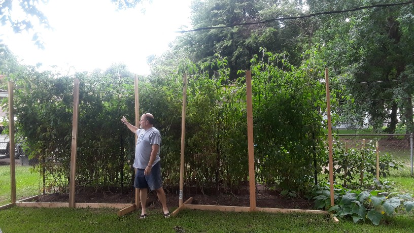 20190708_142811-816x459_0.jpg