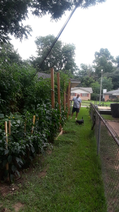 20190708_142858-459x816.jpg