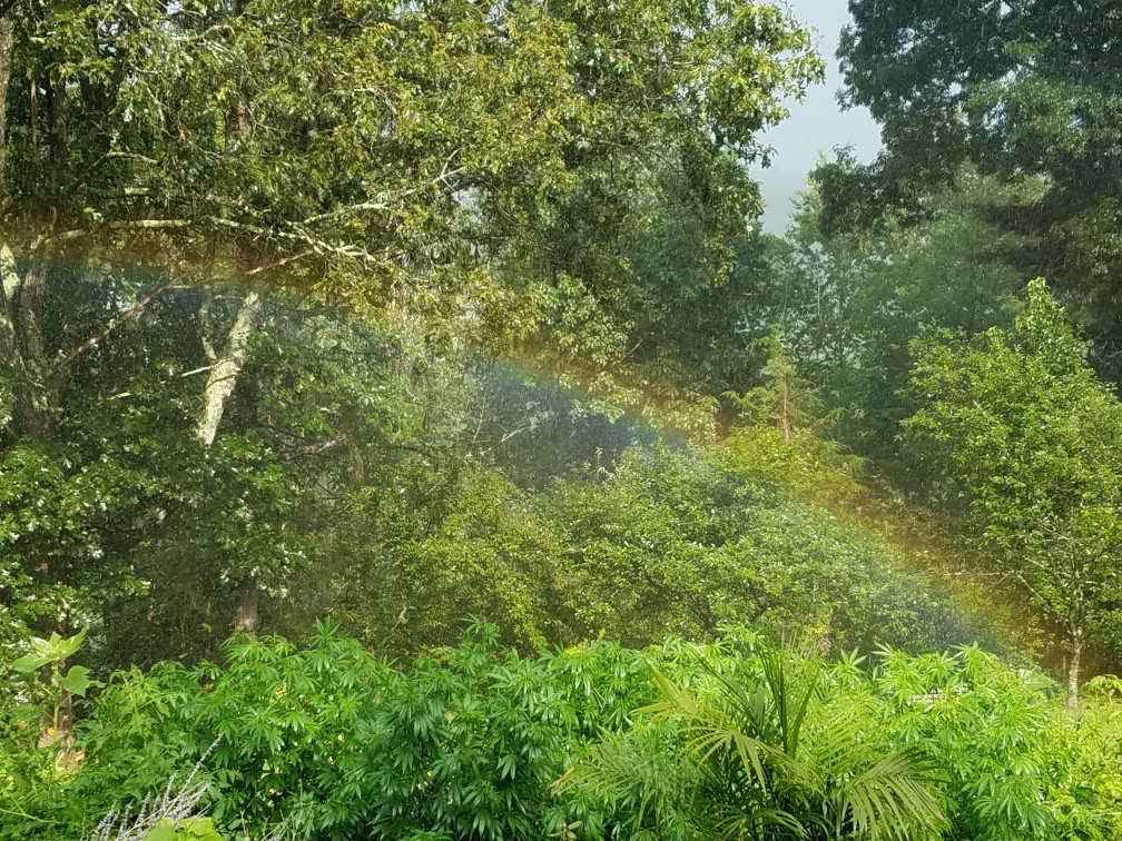 20190730_163157-1008x756.jpg