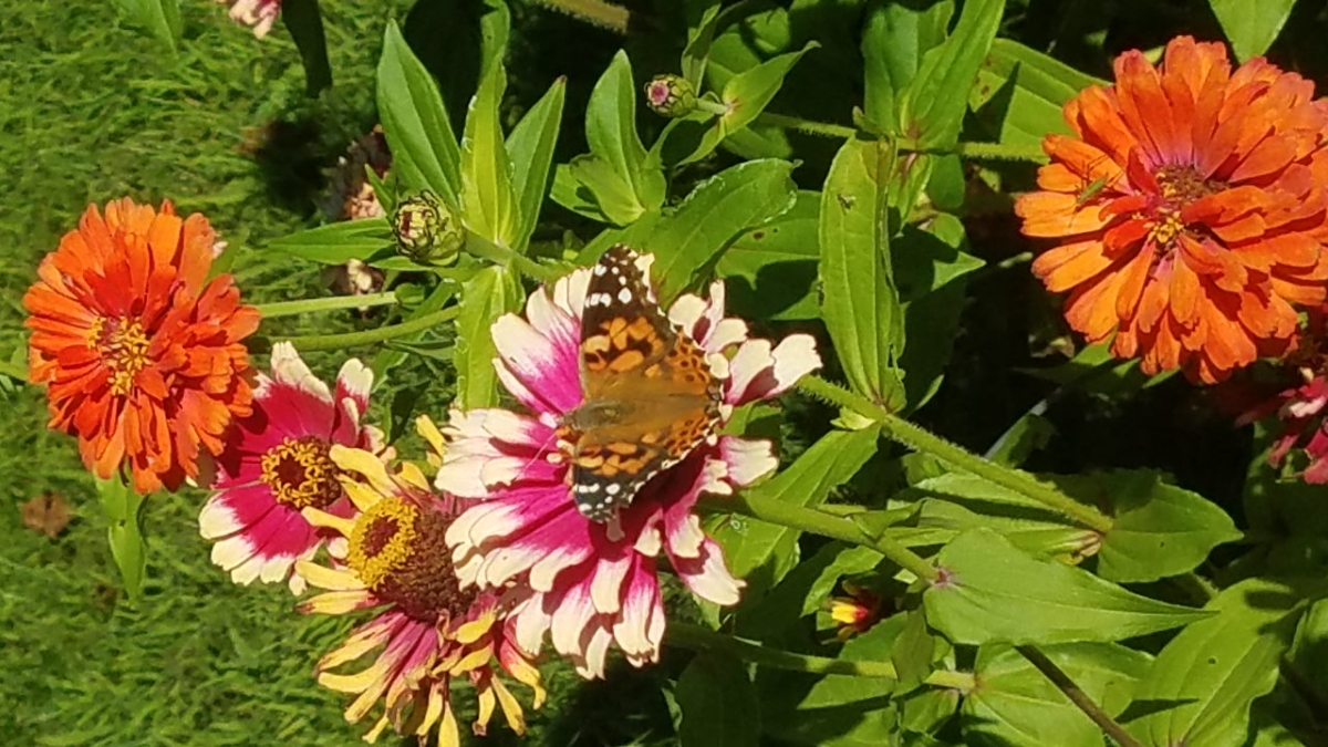 20190913_155642.jpg