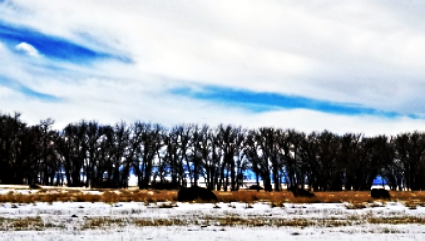 20200215_130952.jpg