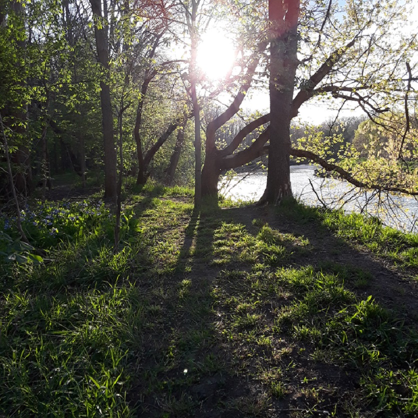 20200420_183501.jpg
