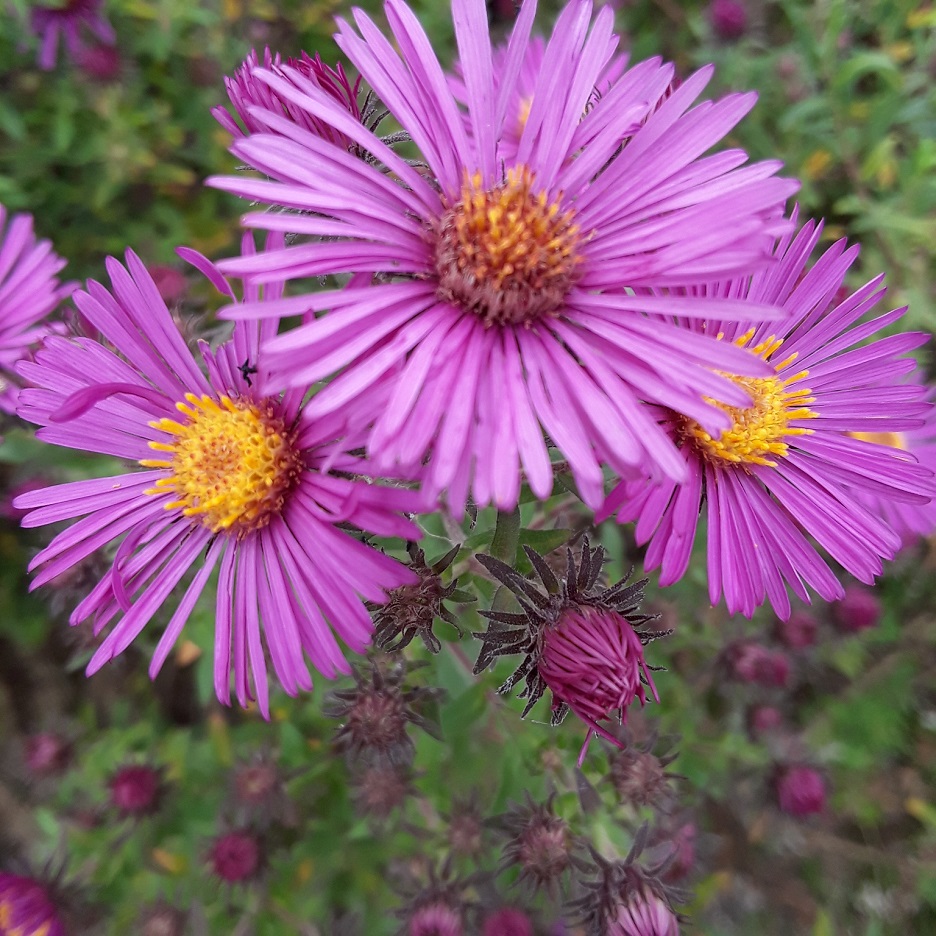 20200907_120739_0.jpg