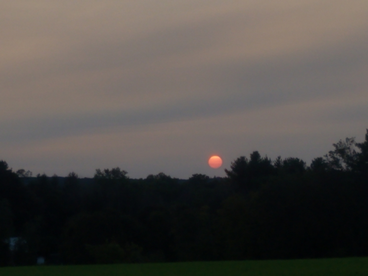 20200914_185349.jpeg