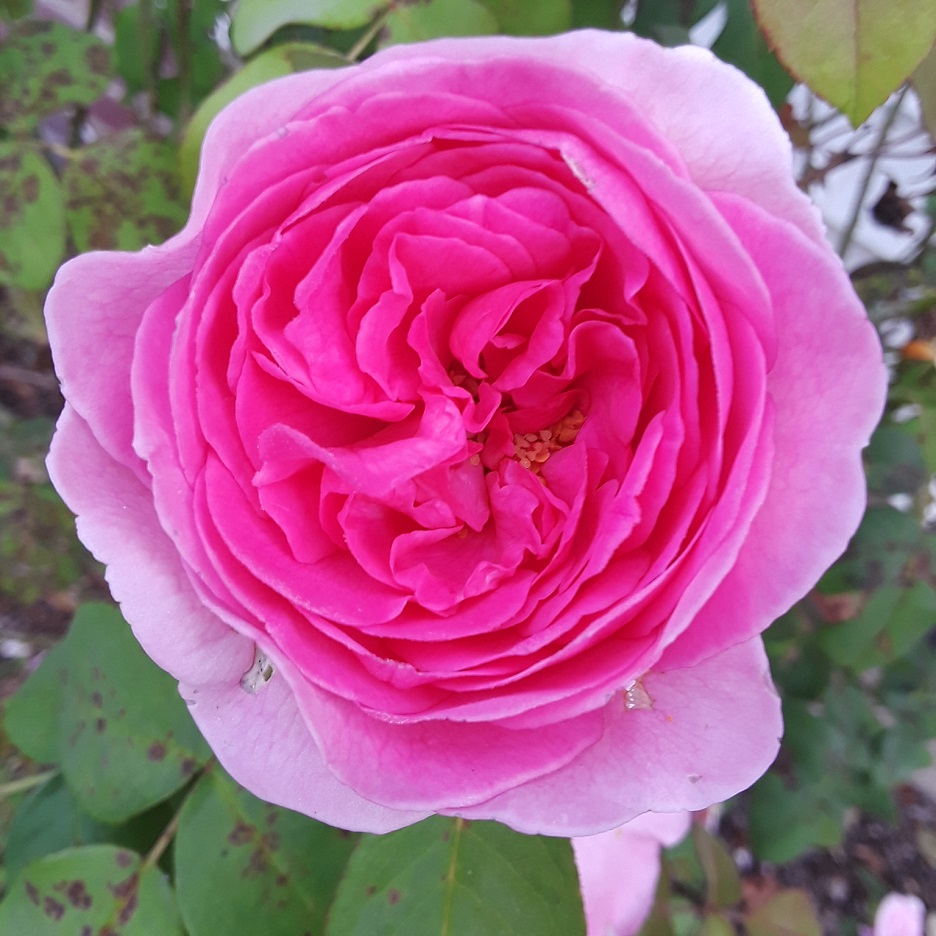 20200923_080059.jpg