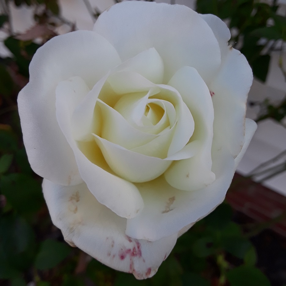 20201008_080242.jpg