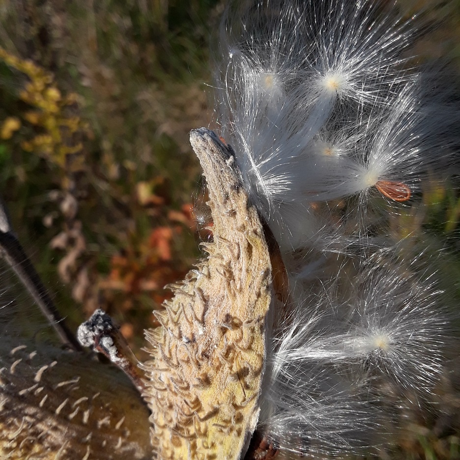 20201009_160418.jpg