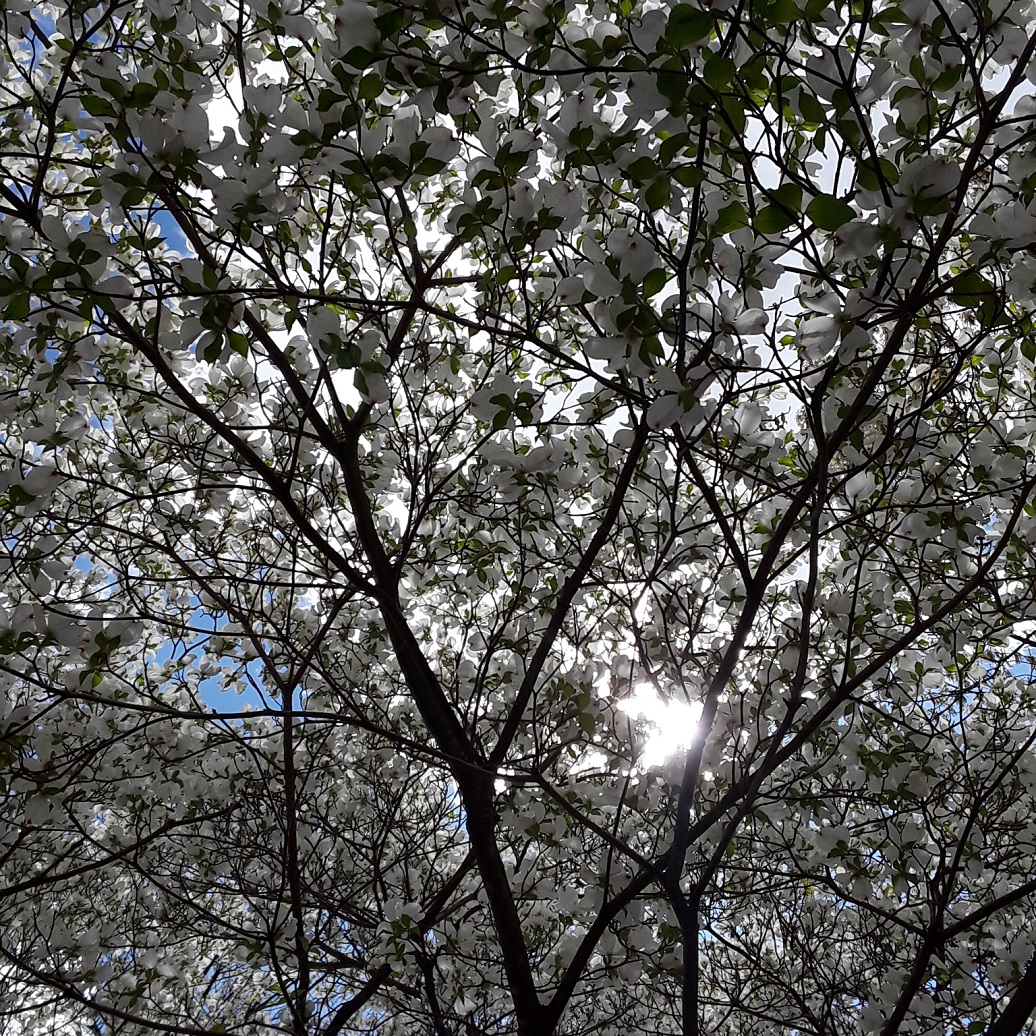 20210418_124258.jpg