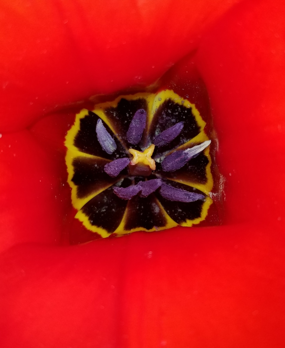 20210420_175951_copy_1628x1985_1.jpg