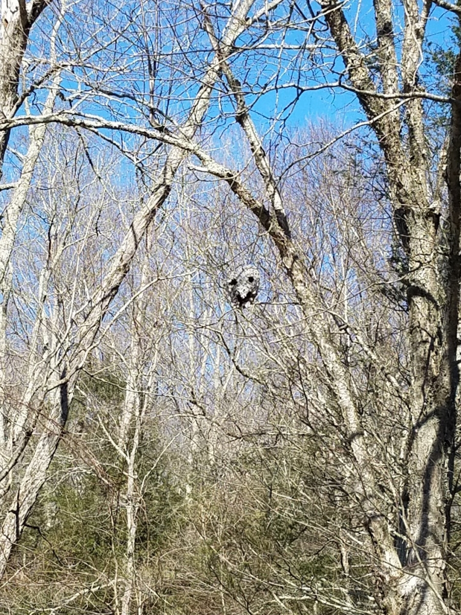 20220316_152226_copy_1058x1411.jpg