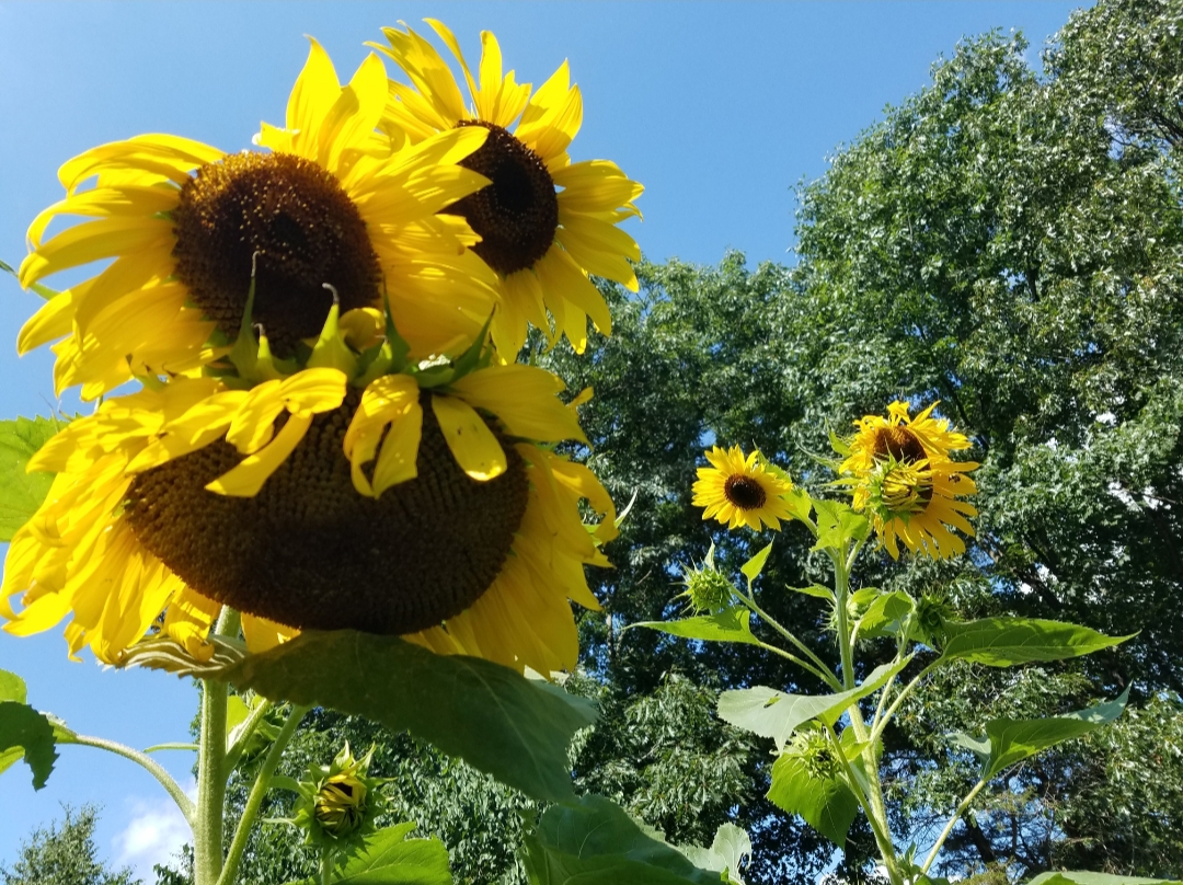 20220802_152123.jpg