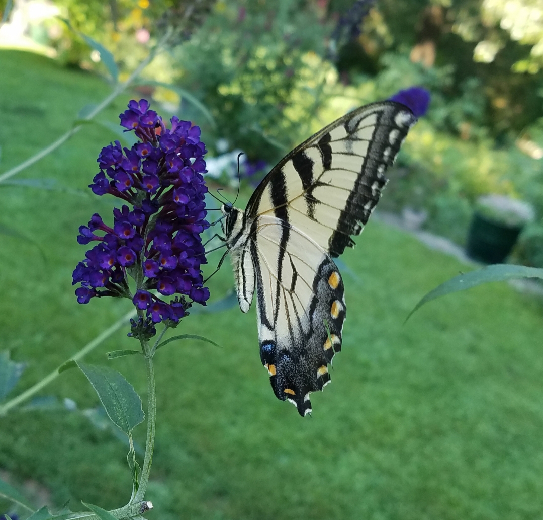 20220802_172102.jpg