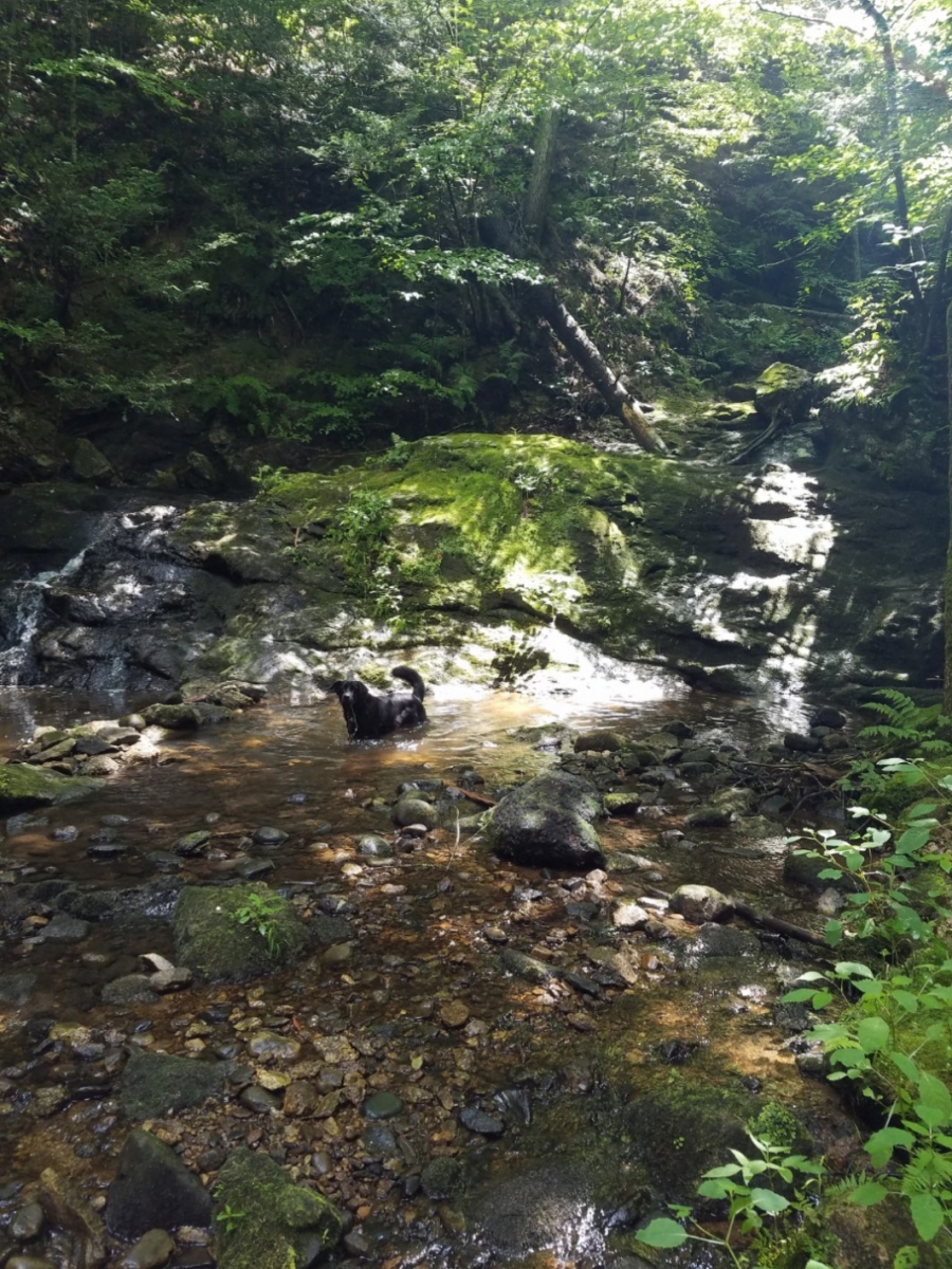 20220803_155904_copy_1064x1418.jpg
