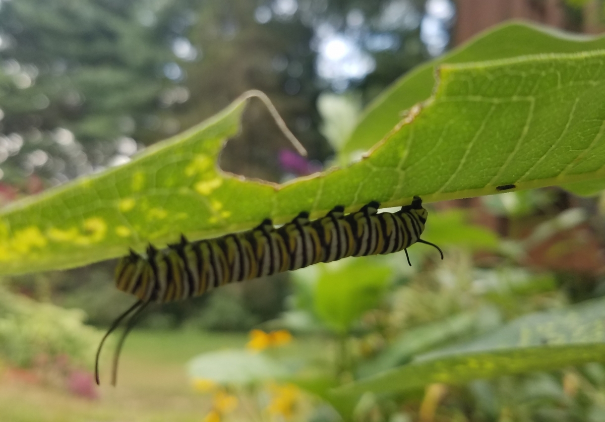 20220822_172924_copy_2993x2088.jpg