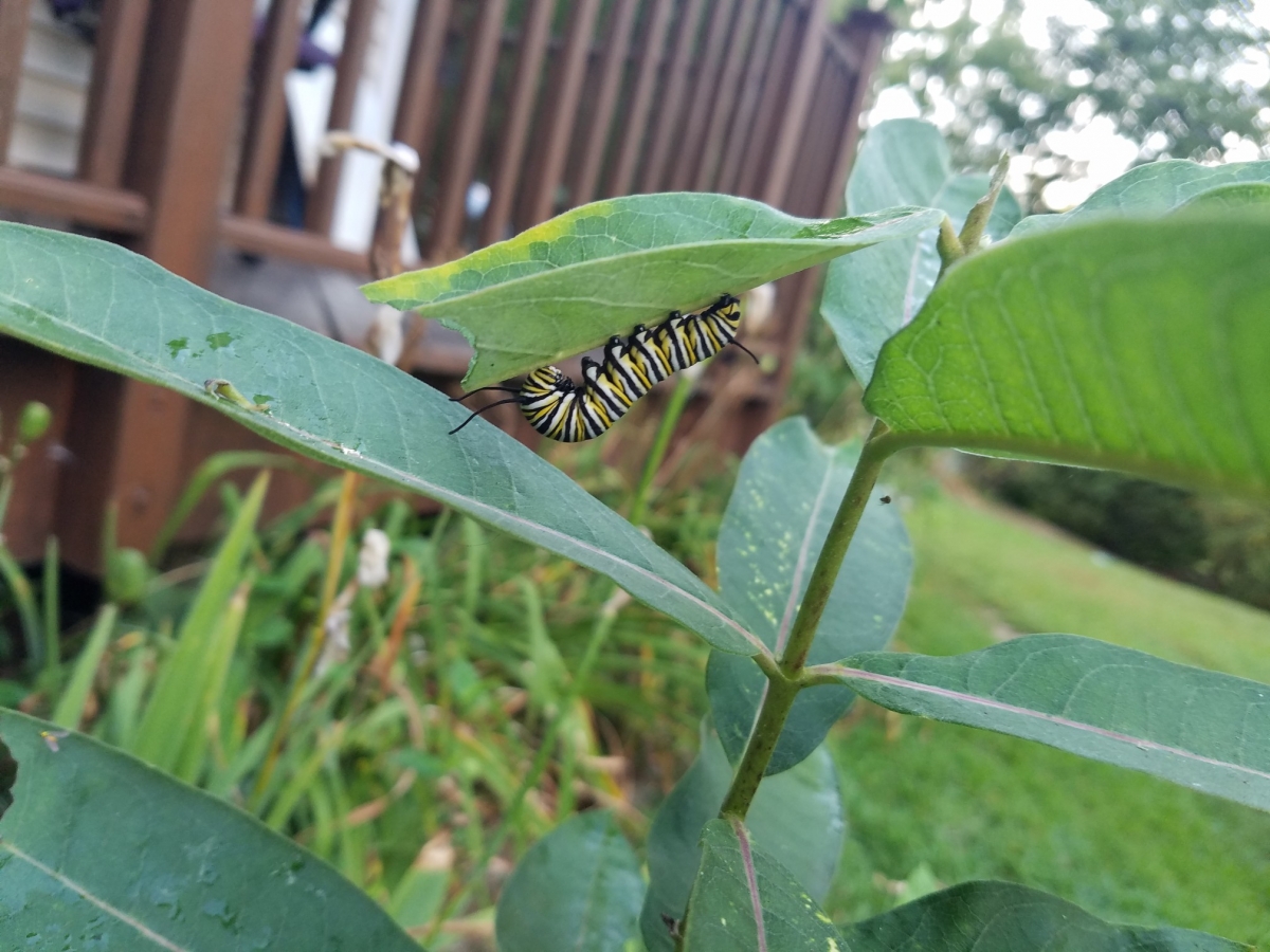 20220822_183921_copy_2016x1512.jpg