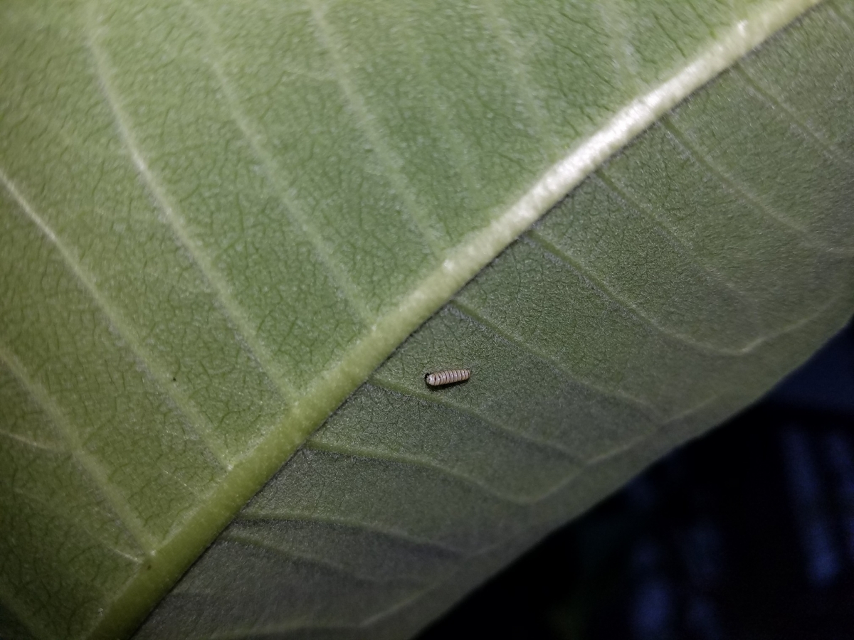 20220826_154810_copy_2016x1512.jpg
