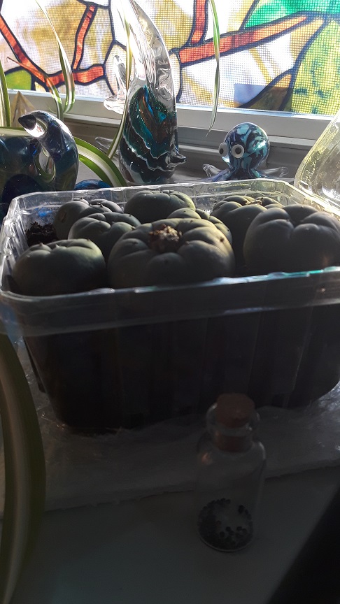 20230313_184046.jpg