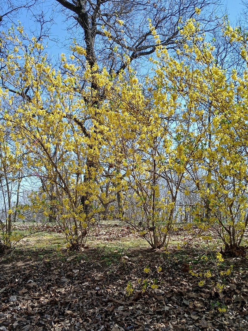 20250321_150016.jpg