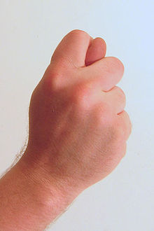 220px-Gesture_fist_with_thumb_through_fingers.jpg