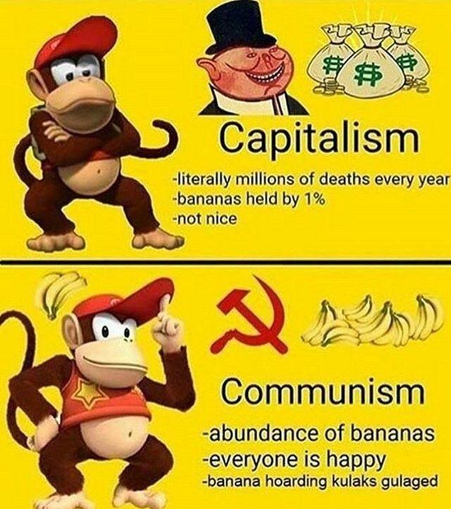 24300904_1970641793256775_549988651031845972_n.jpg