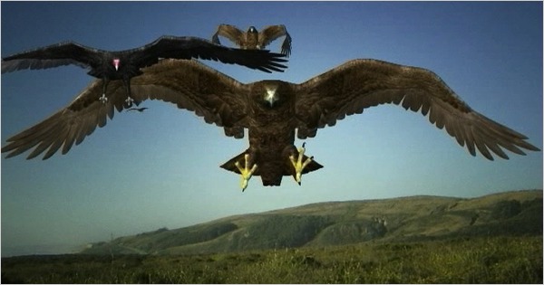 25birdemic_CA0-articleLarge.jpg