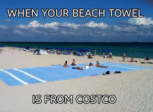 33857941.jpg
