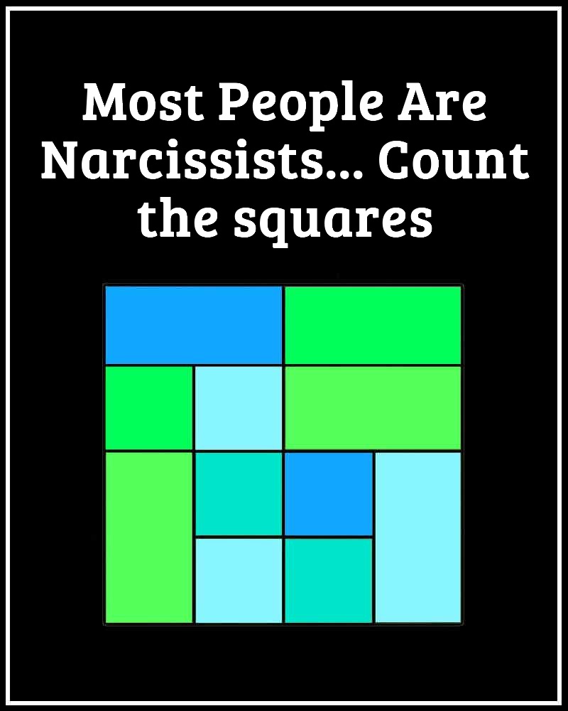 341312283_747009960400250_5997221226663338751_n.jpg