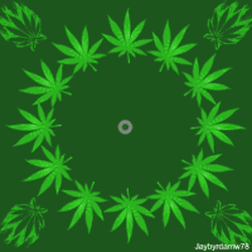 38181C13-4AEF-4283-ADCC-371784A281D5.gif