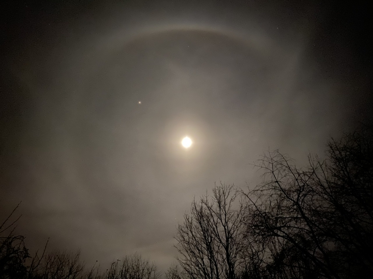 41CE2D75-1597-4D1B-B58C-115B40DF0854.jpeg