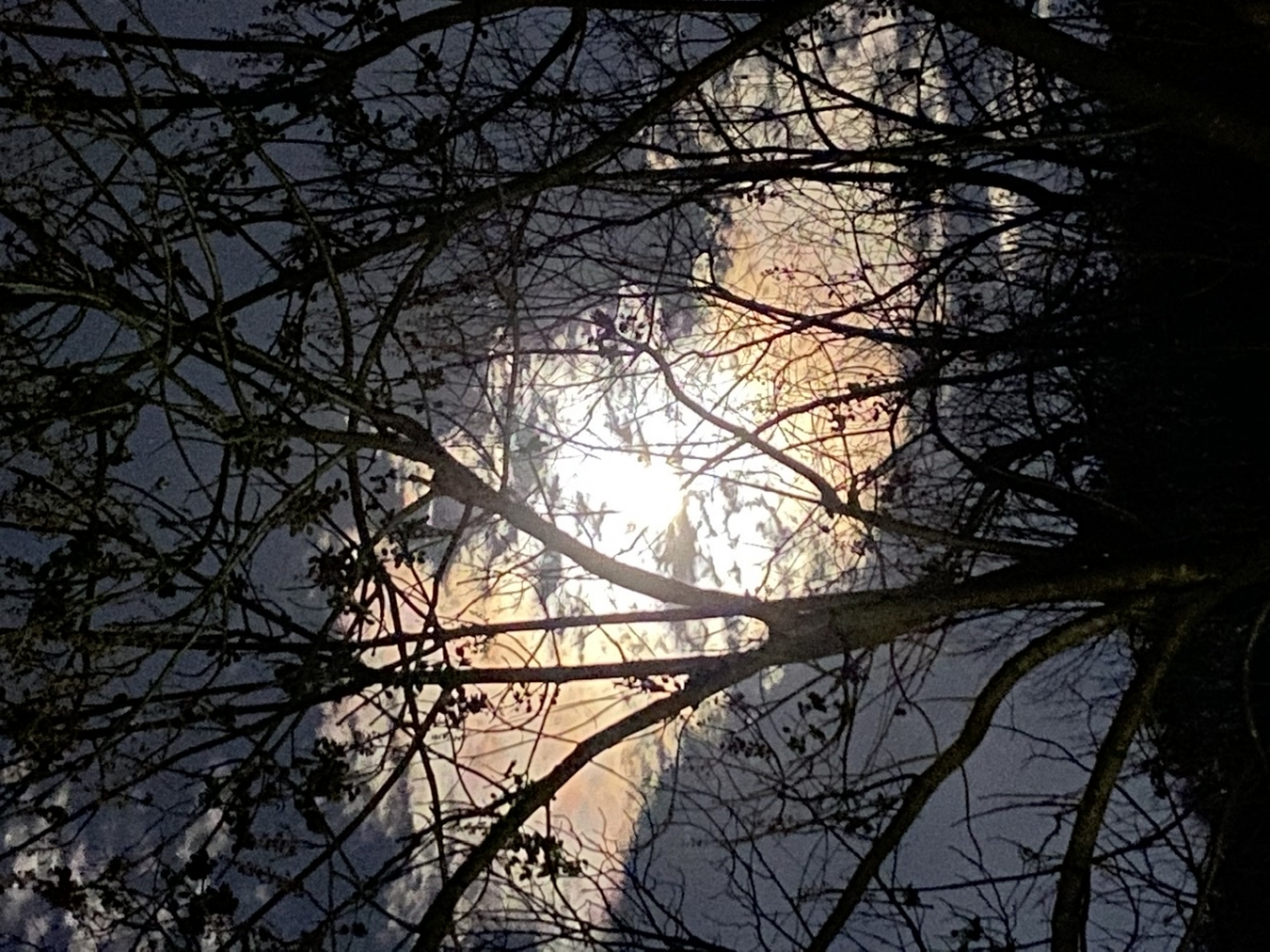 5E10A415-C1D3-404C-9C8A-53531F742771.jpeg