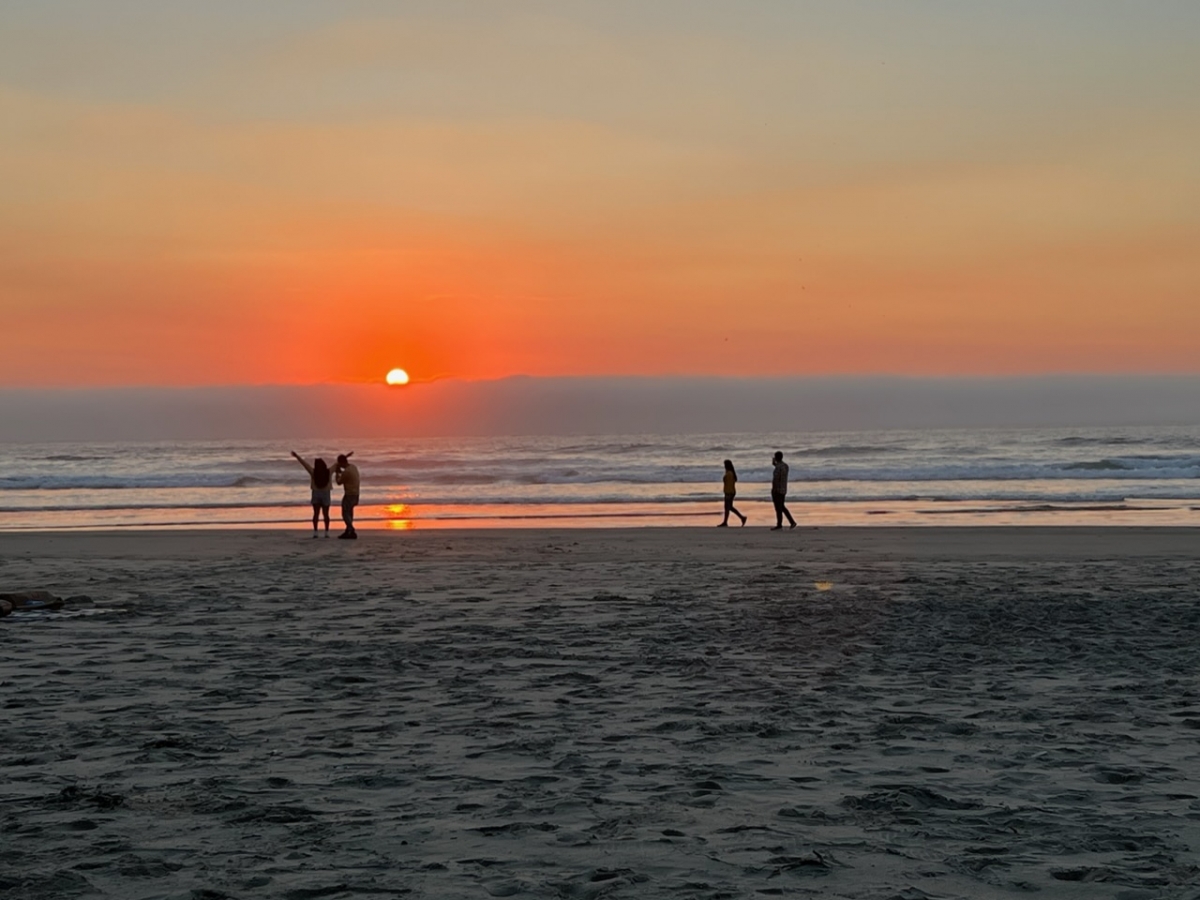 6F628723-E7D6-49DC-A7A9-5F2920F71EFC_1.jpeg