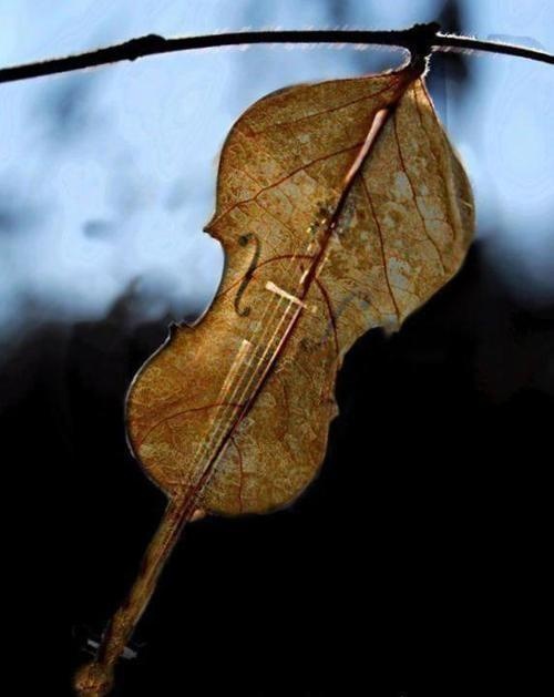 6e4889185a8da7fc26f473048008c76f--leaf-art-music-instruments.jpg