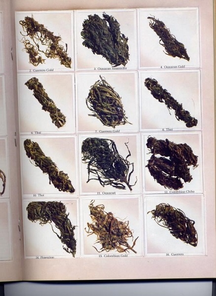 70's weed.jpg