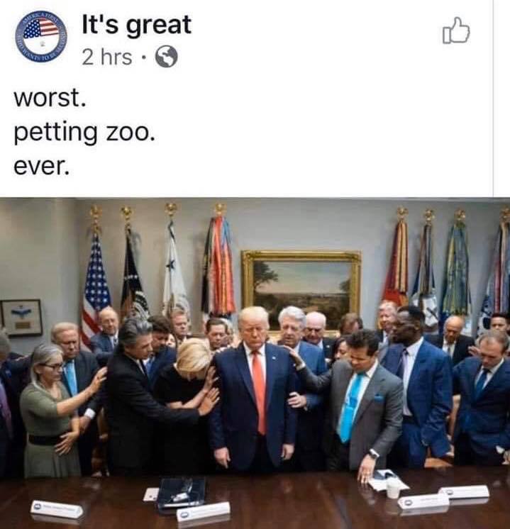 76204847_721102408394802_6810758034743099392_n.jpg