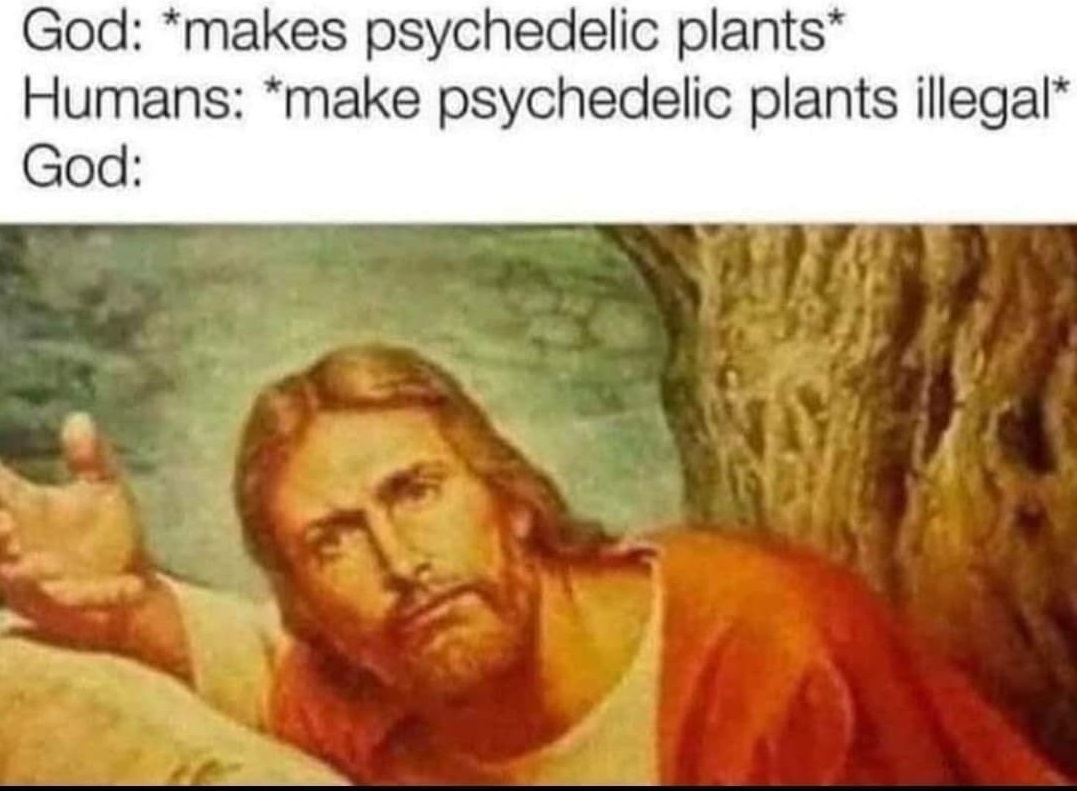 87692c0b6c4ba0da56f3141a8e2fbc81577d967f88ab8e9d3f39fb812d222e1e_1.jpg