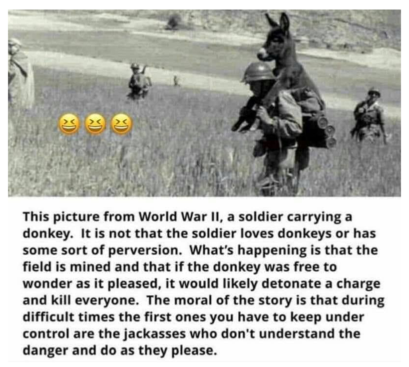 91843333_4389290217748589_6284827697231167488_n.png