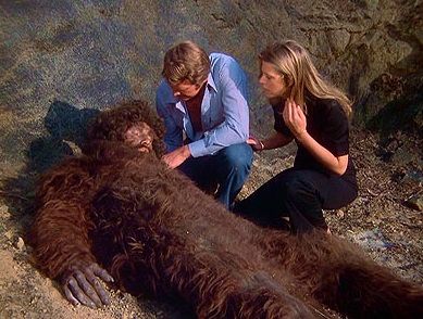 922bf6885eecf0d8ec45328ce2cdddaf--steve-austin-bionic-woman.jpg