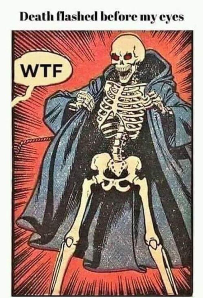 93048498_919494788488513_1485140965868961792_o.jpg