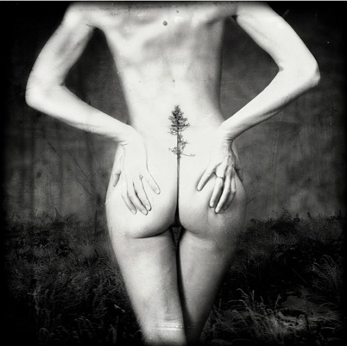 Artur_Sochan_beautifulbizarre-7.jpg