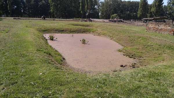 Ash Pit.jpg
