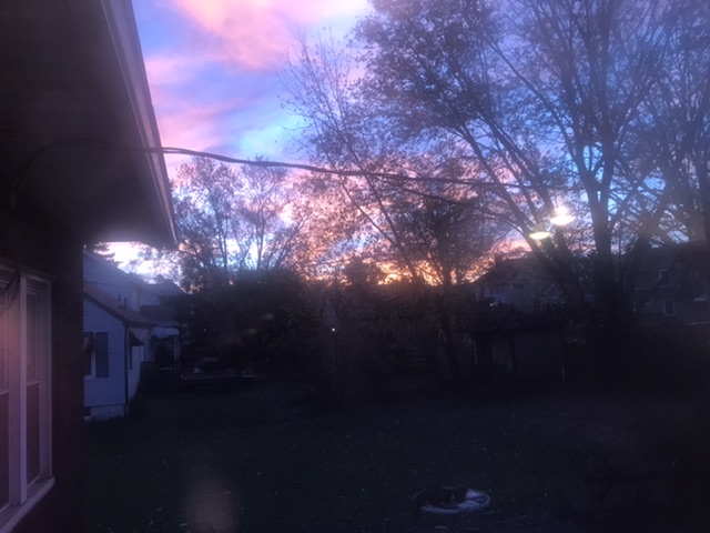 B7AD79A3-A31E-4BE4-8972-701317D8C0C6.jpeg