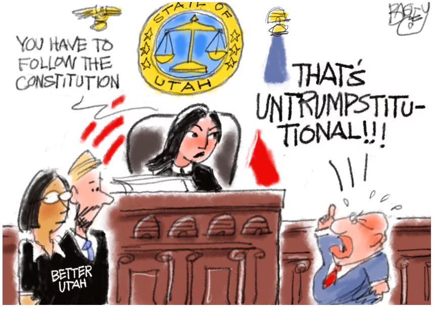 Bagley Gerrymander 2.JPG